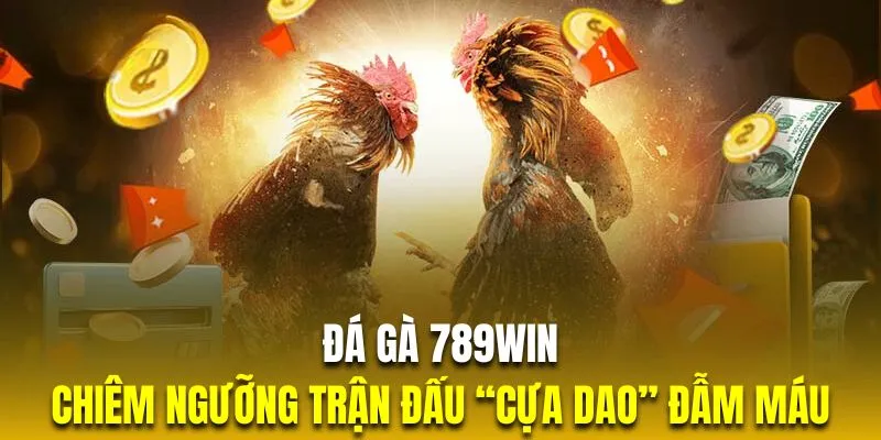 Tham gia đá gà 789win để được tận hưởng những trận đấu đỉnh cao