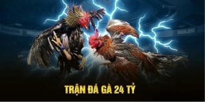 Trận Đá Gà 24 Tỷ